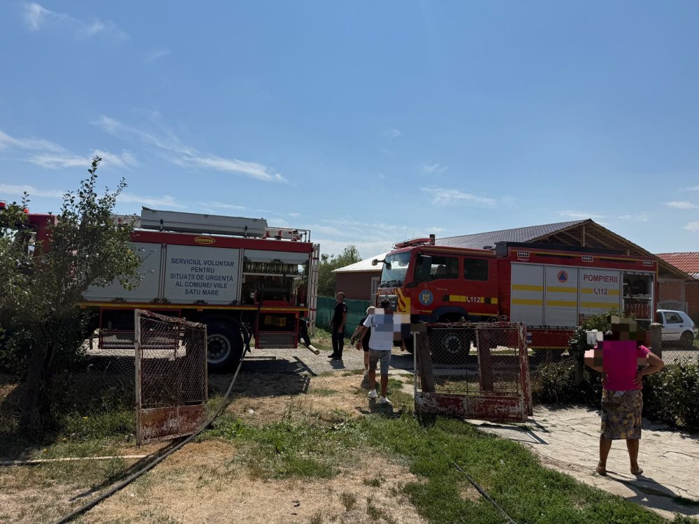 incendiu vegetatie satu mare 3.jpg