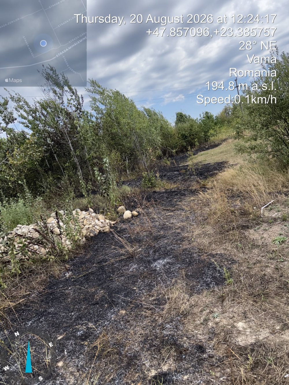 incendiu vegetatie satu mare1.jpg