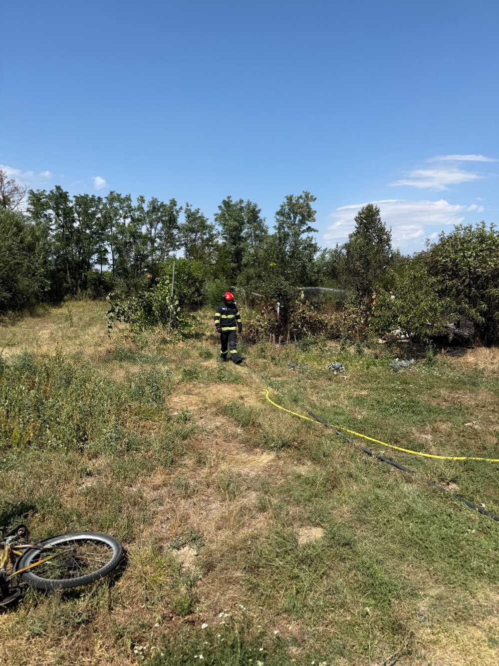 incendiu vegetatie satu mare2.jpg