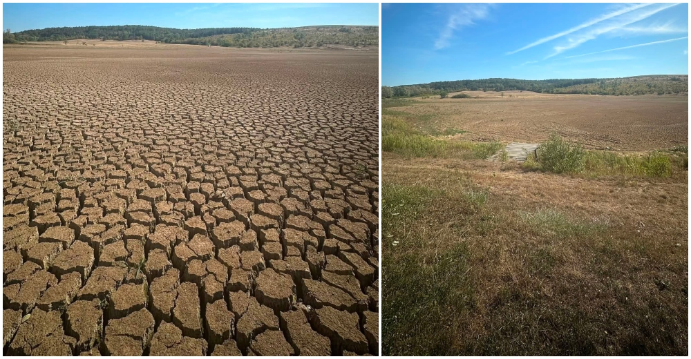 FOTO. Un cunoscut lac de pescuit din județul Satu Mare și-a încheiat povestea. Lacul Hodișa a secat: „Nu mai putem continua”