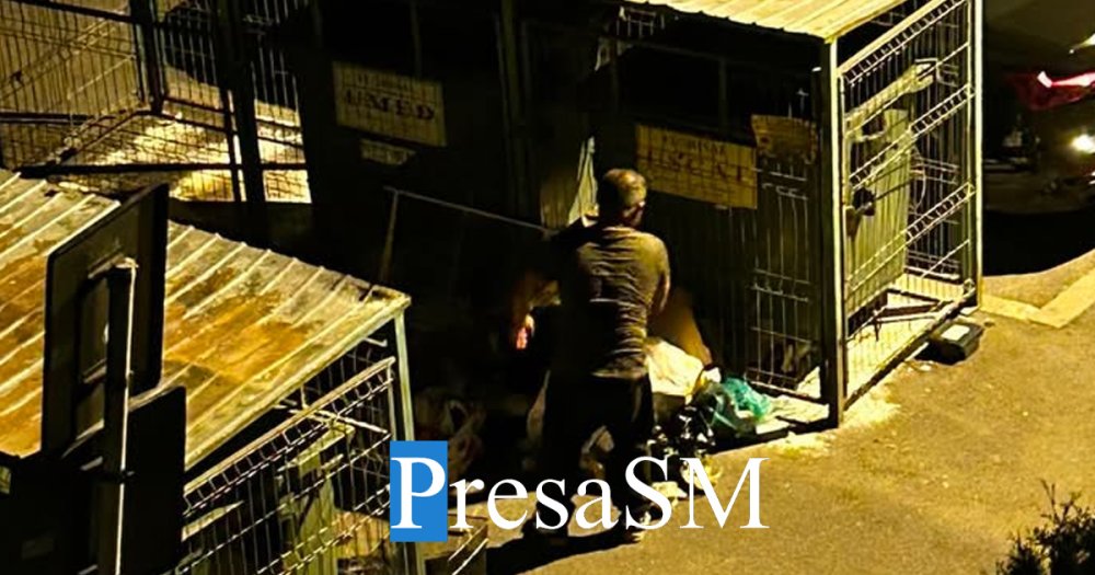 FOTO. Tomberoane răscolite, gunoaie împrăștiate și miros insuportabil, într-un cartier al Sătmarului