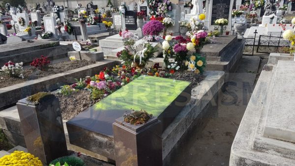 cimitir vandalizat Satu Mare