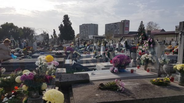 cimitir vandalizat Satu Mare