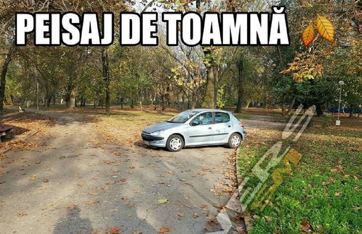 mașina prin Grădina Romei