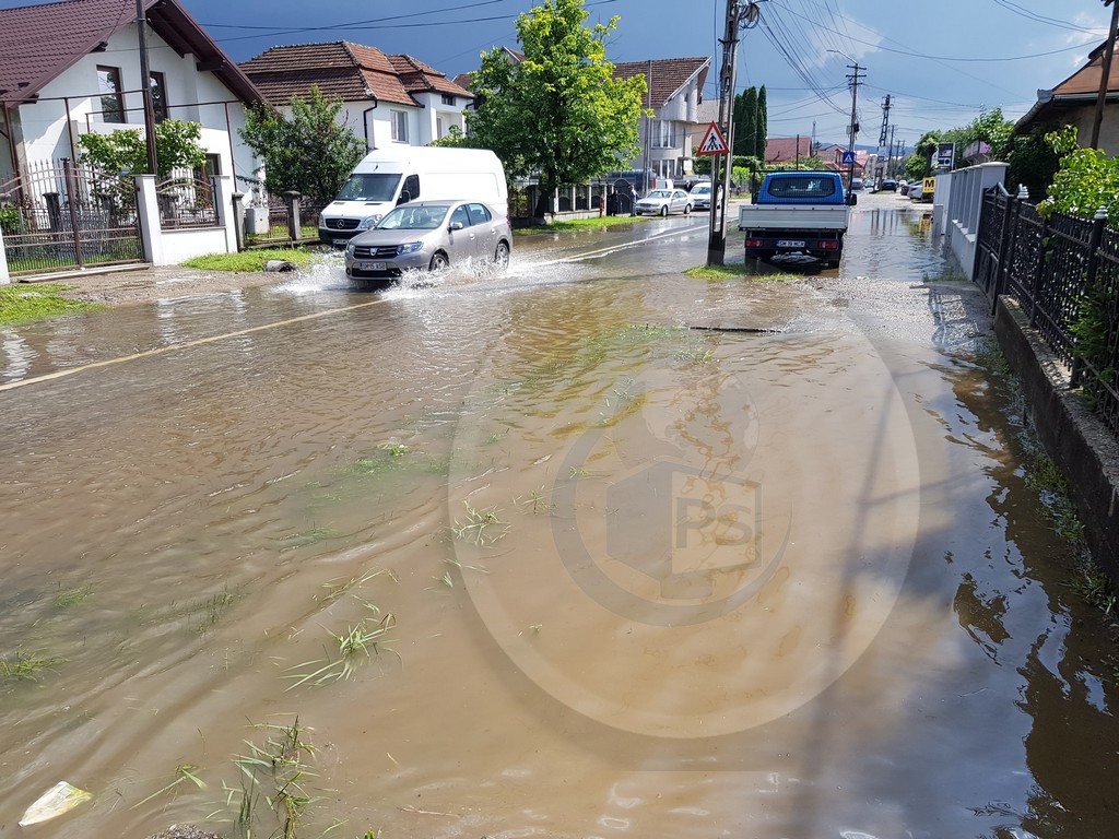 fete care cauta barbat din negrești