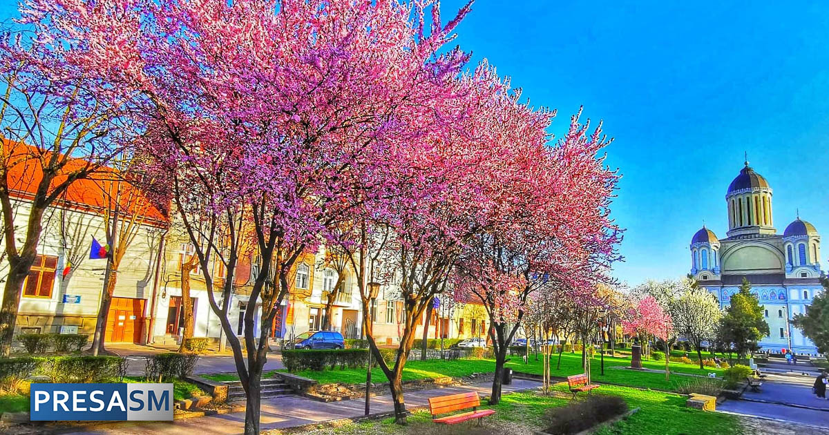 Primavara Satu Mare Parc Lucaciu