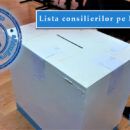 Alegeri locale la Satu Mare 2024