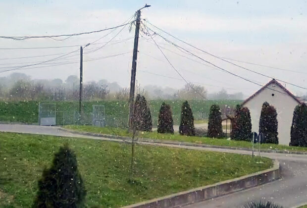 zăpada mieilor satu mare ninsoarea mieilor