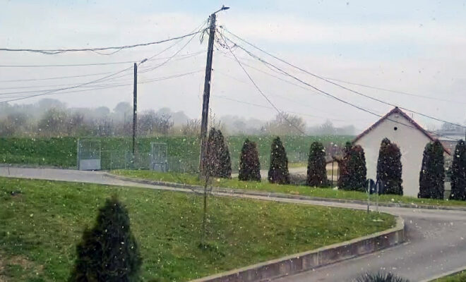 zăpada mieilor satu mare ninsoarea mieilor